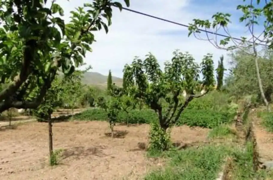 Casa o xalet en venda en Fondón amb Aire condicionat i Calefacció