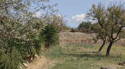 Photo 5 of Country house for sale in Centro, Inca