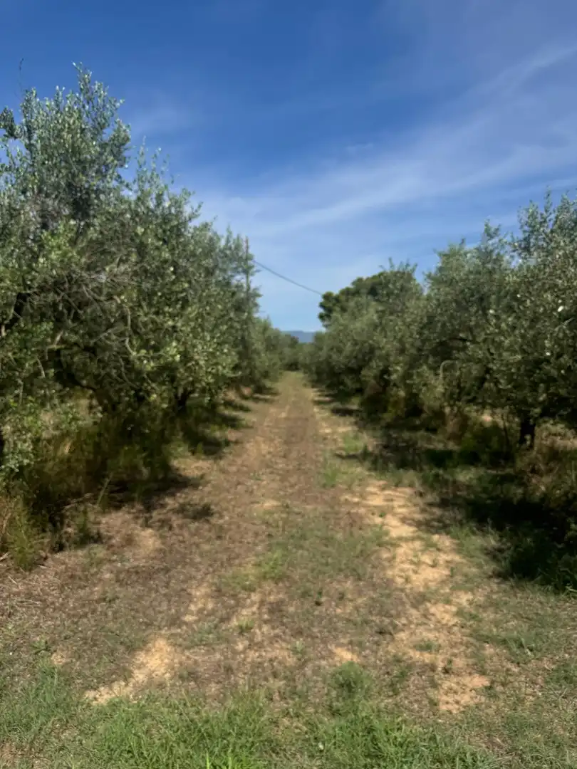 Terrenys i solars en venda a Constantí, imagen 10