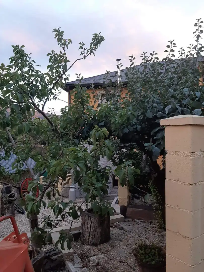 Garden of Houses for sale in Puente de Domingo Flórez  with Heating