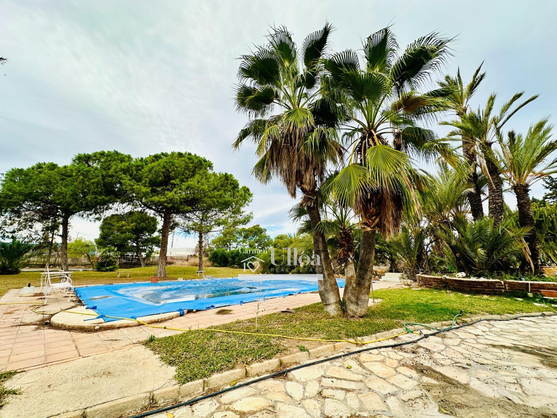 Garden of House or chalet for sale in San Vicente del Raspeig / Sant Vicent del Raspeig  with Heating, Private garden and Terrace