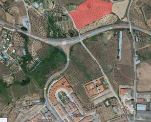 Land for sale in Coria