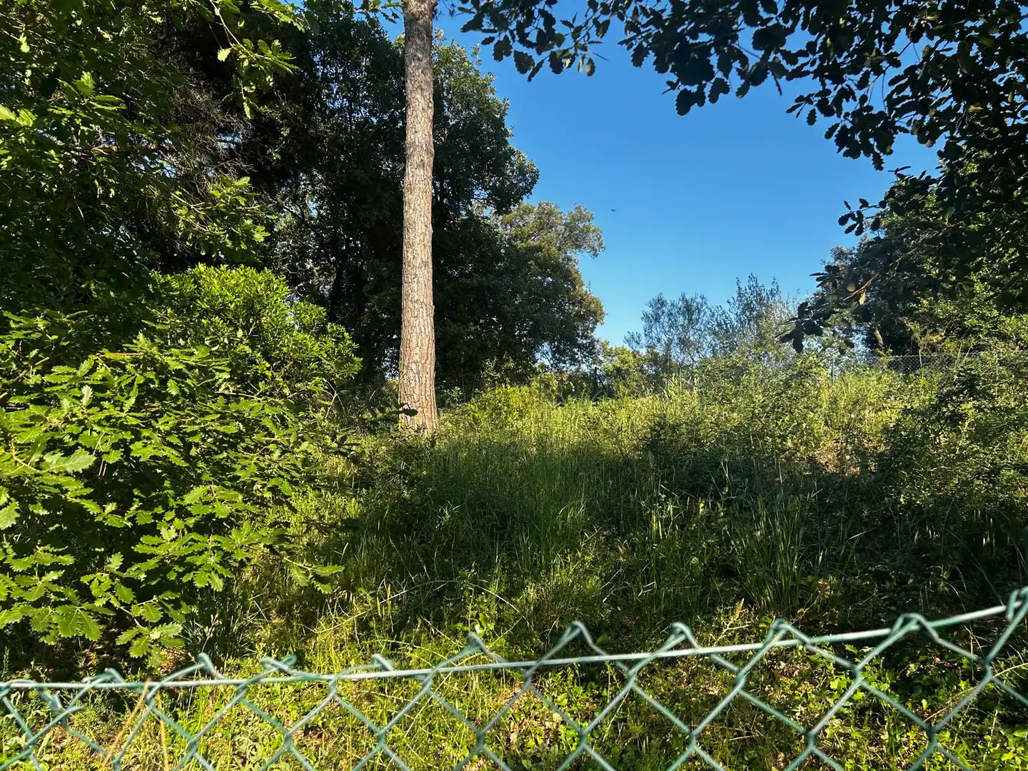 Residential land for sale in Residencial Park, imagen 17