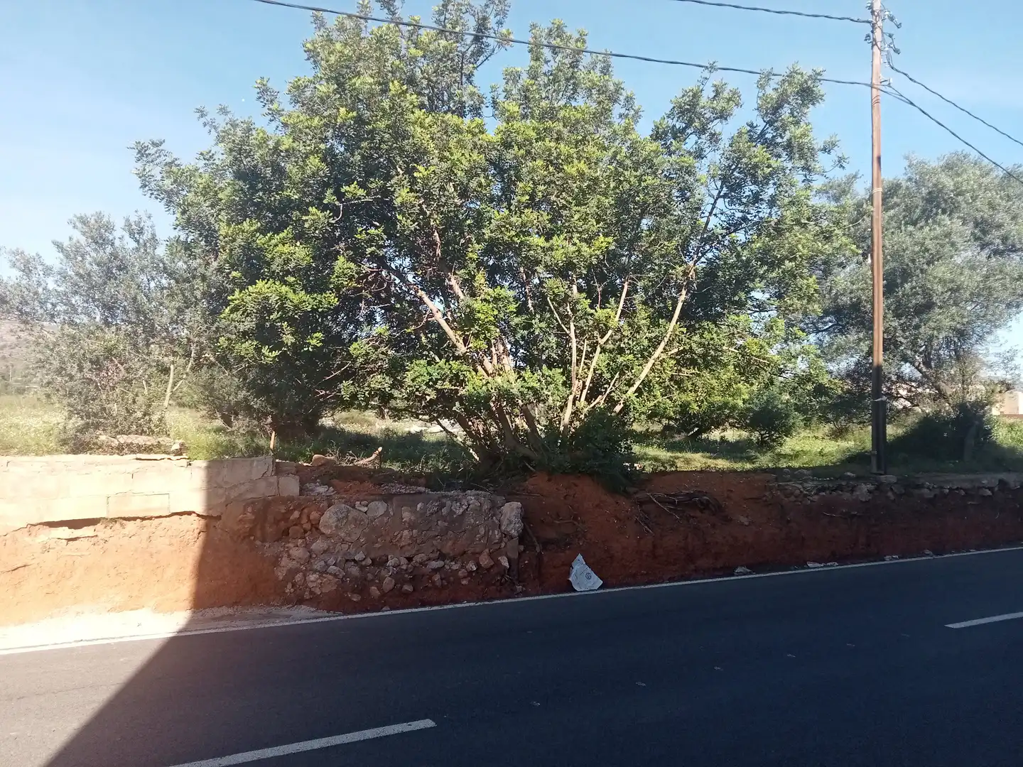 Terreno rustico in vendita a Oeste