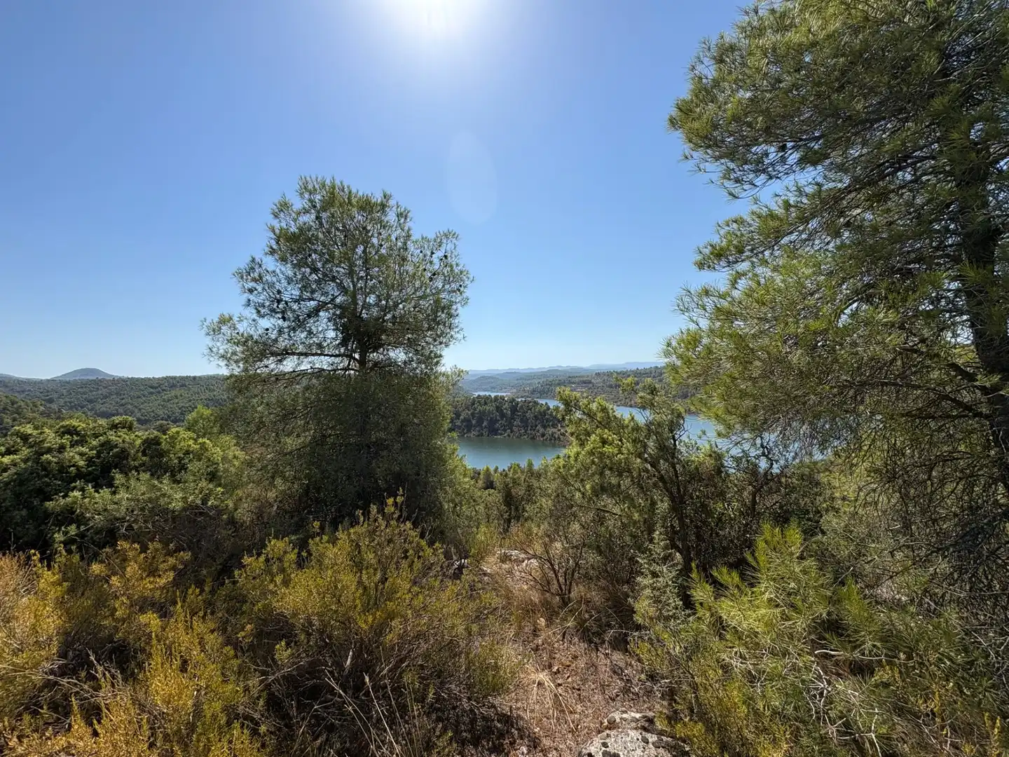 Terreno rustico in vendita a Cervià de Les Garrigues, imagen 7