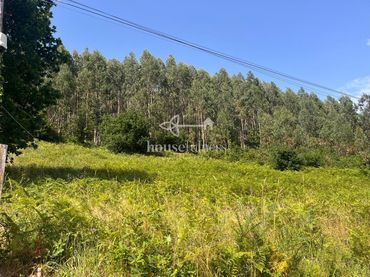 Terreno residenziale in vendita a Sedes - Pedroso - Doso