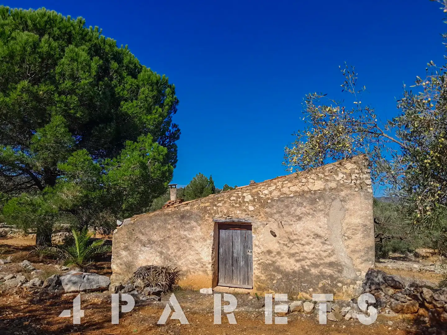 Rural land for sale in Cervera del Maestre, imagen 5