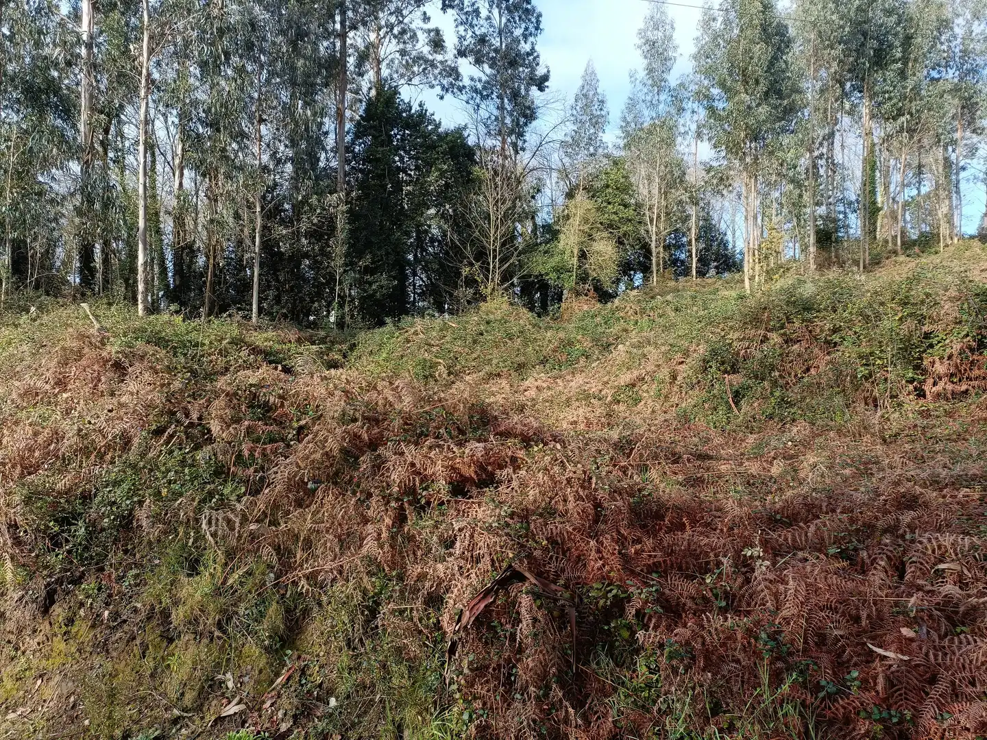 Terrain rustique à vendre à Oza dos Ríos, imagen 7