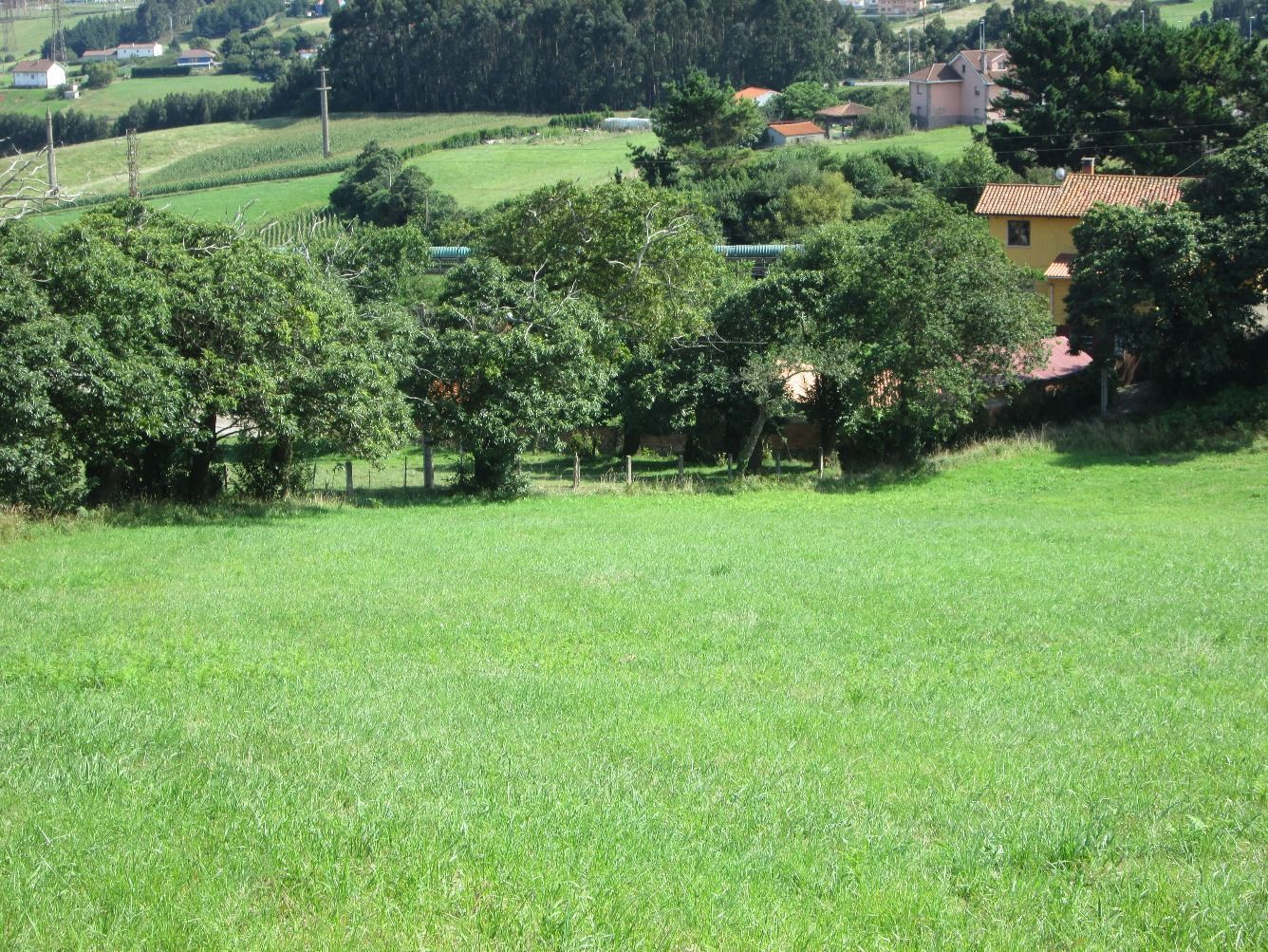 Residential for sale in Carreño
