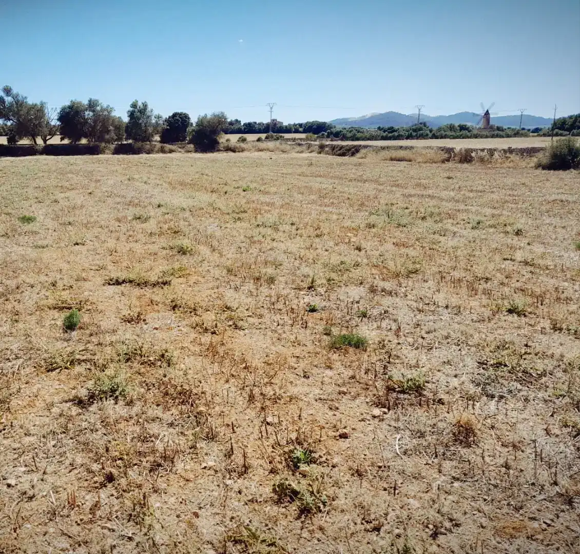Finca rústica en venda en Porreres