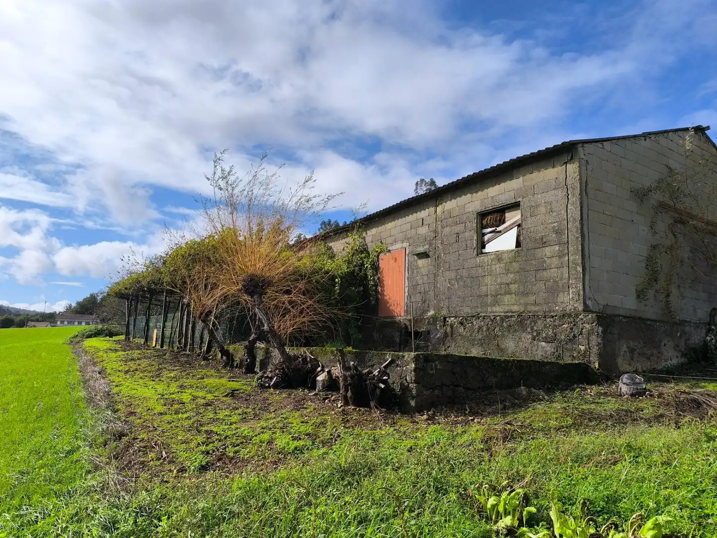 Vista exterior de Casa o chalet en venta en Santiago de Compostela  con Jardín privado