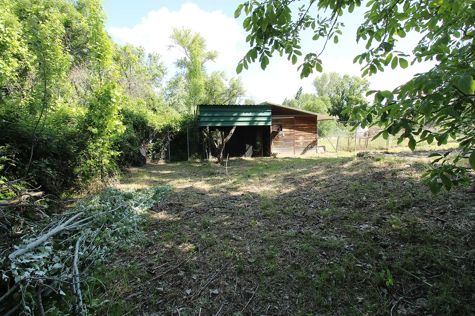 Land for sale in Torrelaguna