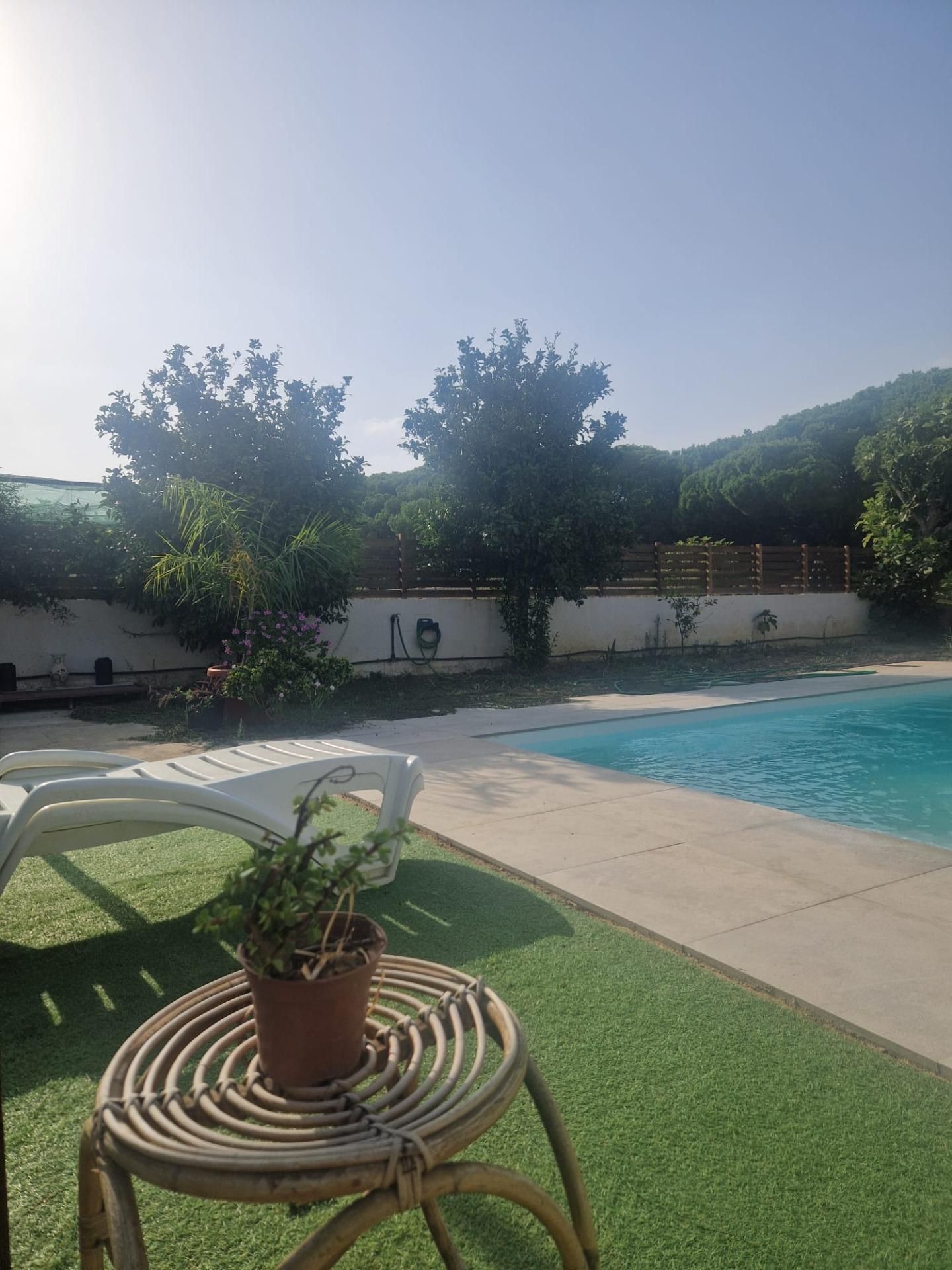 Swimming pool of Country house for sale in Puerto Real  with Private garden and Swimming Pool