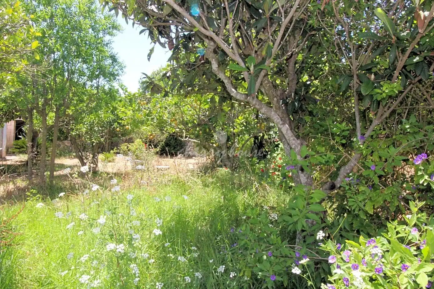 Maison rustique à vendre à lloret de vista alegre, imagen 45