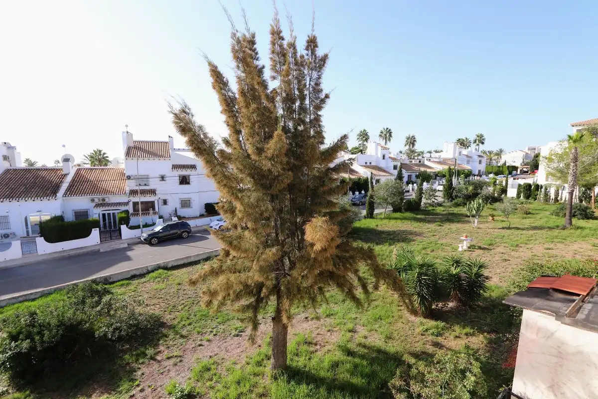 Jardí de Apartament en venda en Orihuela amb Terrassa