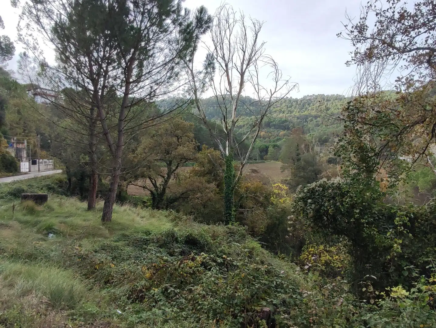 Terrain rustique à vendre à Monistrol de Calders, imagen 27