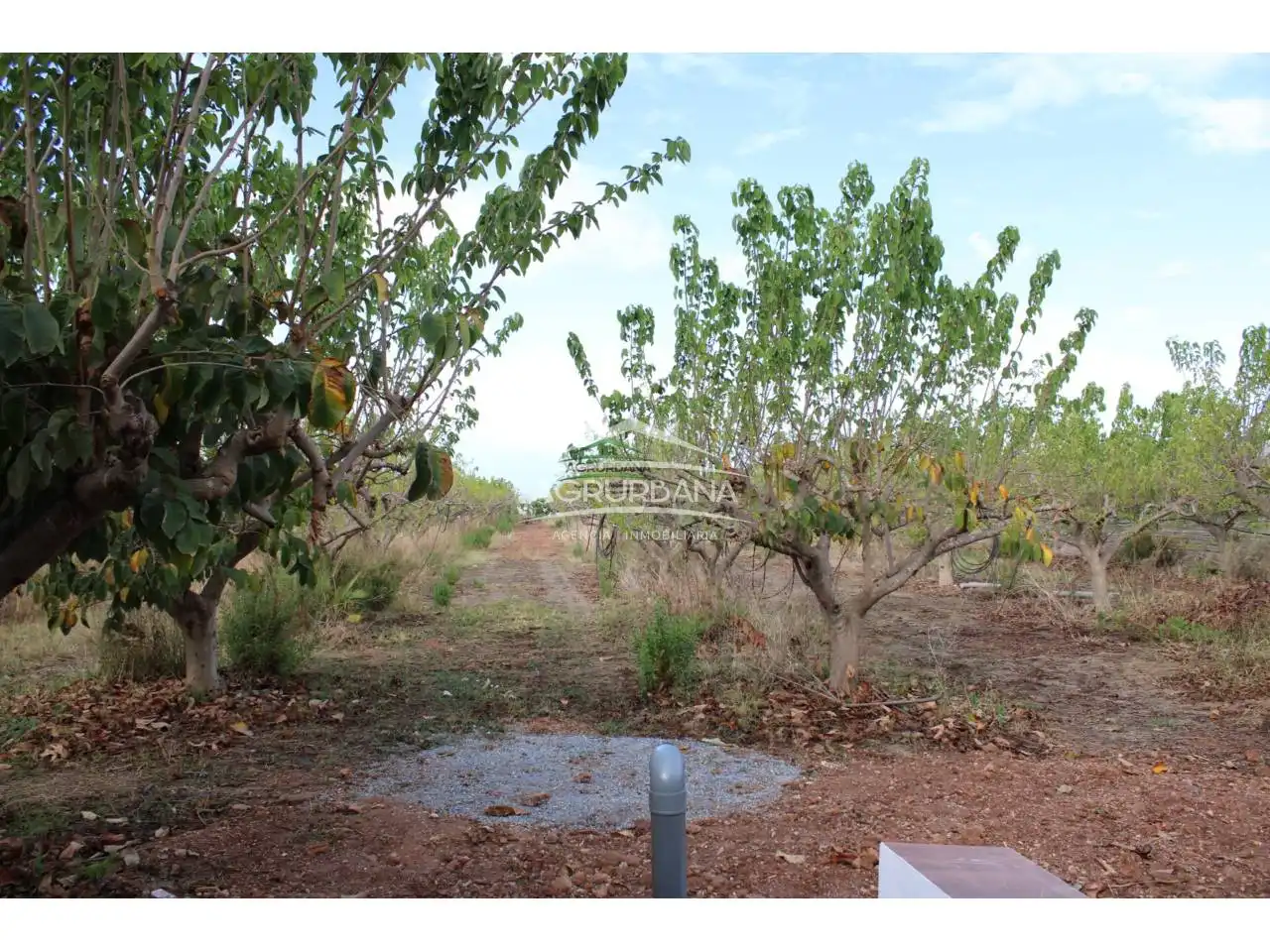 Finca rústica en venta en Motril con Terraza y Piscina
