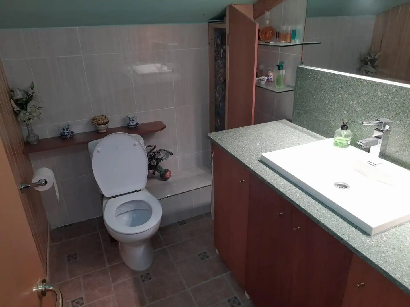 Bany de Casa o xalet en venda en Flix amb Jardí privat, Terrassa i Traster