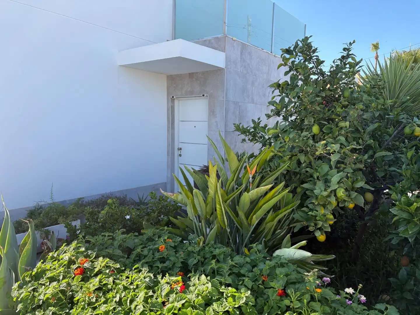 Chalet con piscina en venta en Calle JORGE MANRIQUE, imagen 10