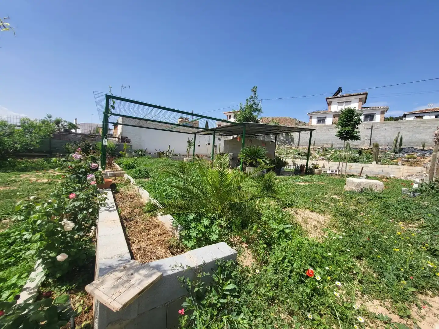 Terrenos y solares en venta en El Torreón - Cortijo Pretel, imagen 6
