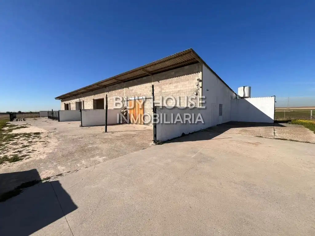 Vista exterior de Finca rústica en venda en Torrejón de Velasco