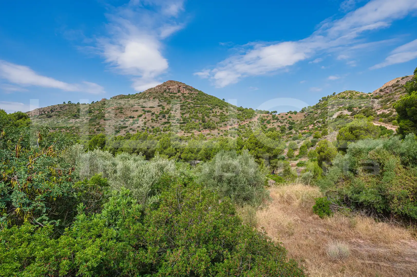 Detached homes for sale in Corral Nou - Montros - Estepar