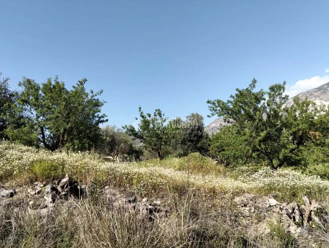 Rural land for sale in Dúrcal, imagen 8