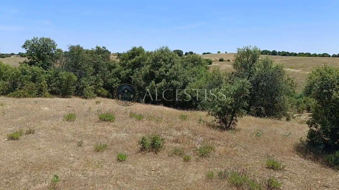 Terreno en venta en La Torre de Esteban Hambrán