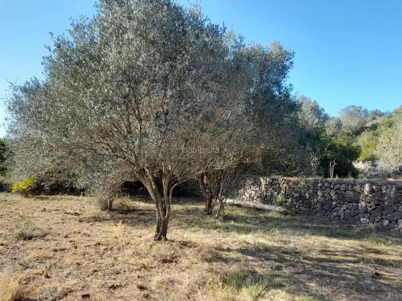 Maison rustique avec piscine à vendre à Carrer de Sant Roc 51, imagen 9