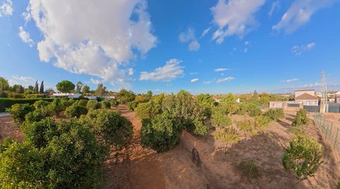 Photo 3 of Country homes for sale in Urb Santa Iglesia, Almensilla, Sevilla
