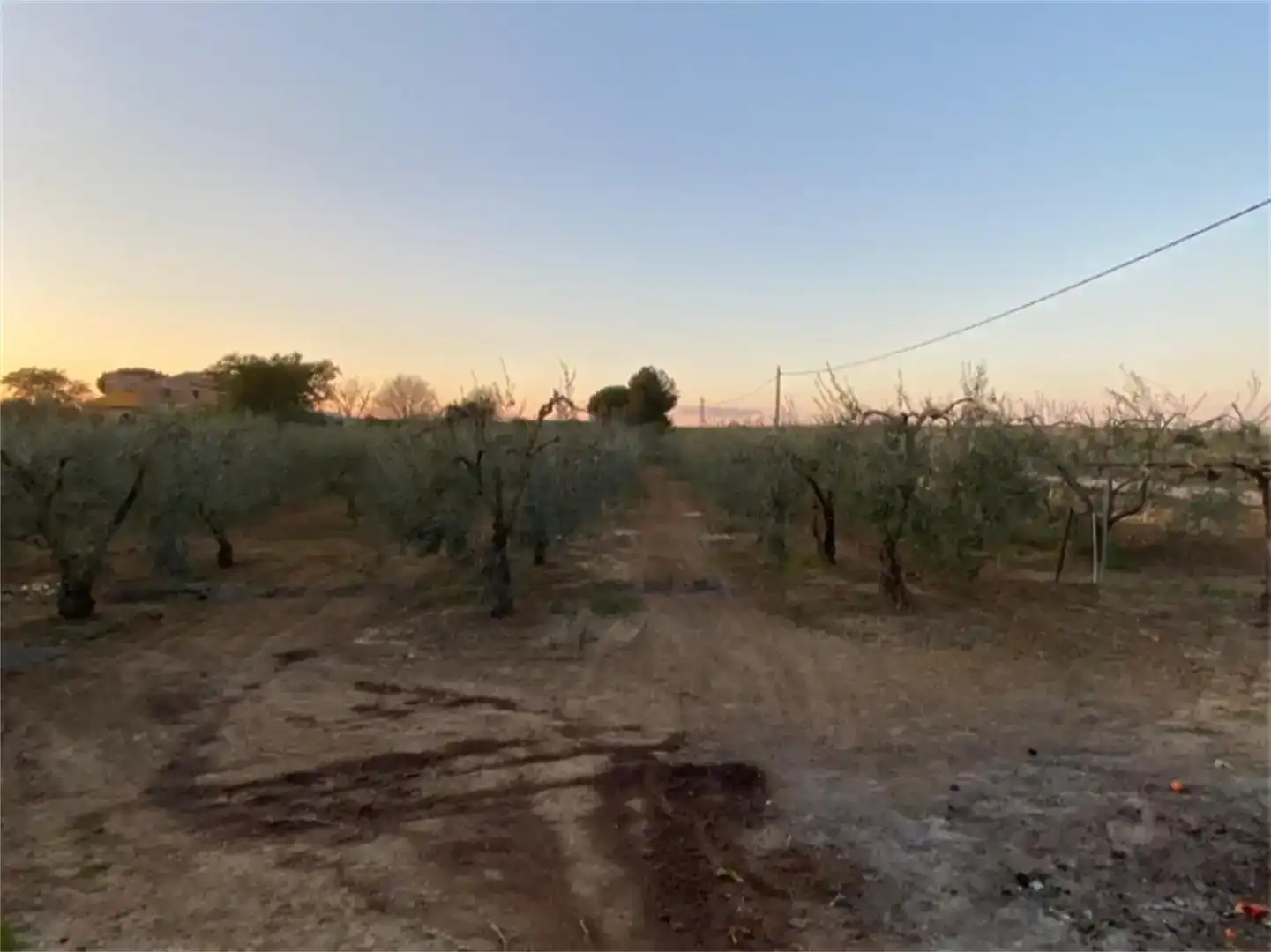 Finca rústica en venda en Coria del Río amb Aire condicionat i Piscina