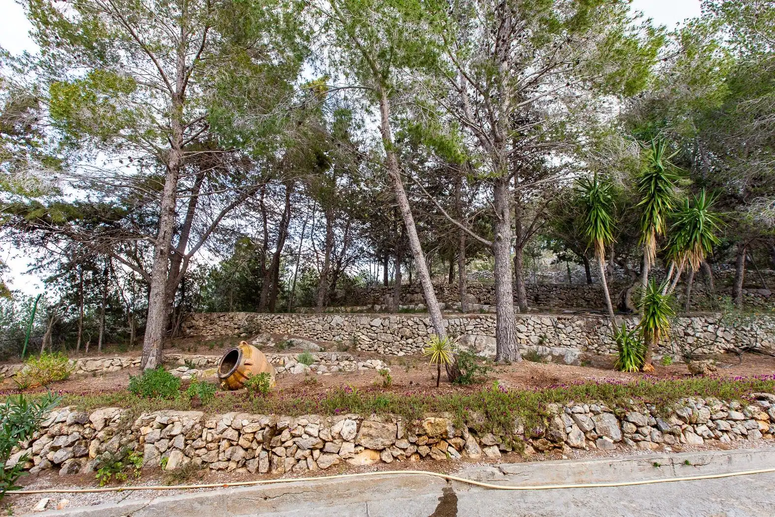 Casa o chalet en venta en Alcanar