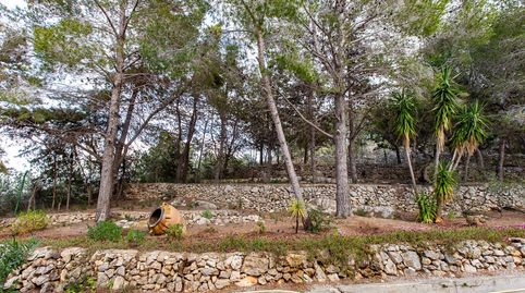 Foto 5 de Casa o xalet en venda a Alcanar, Tarragona