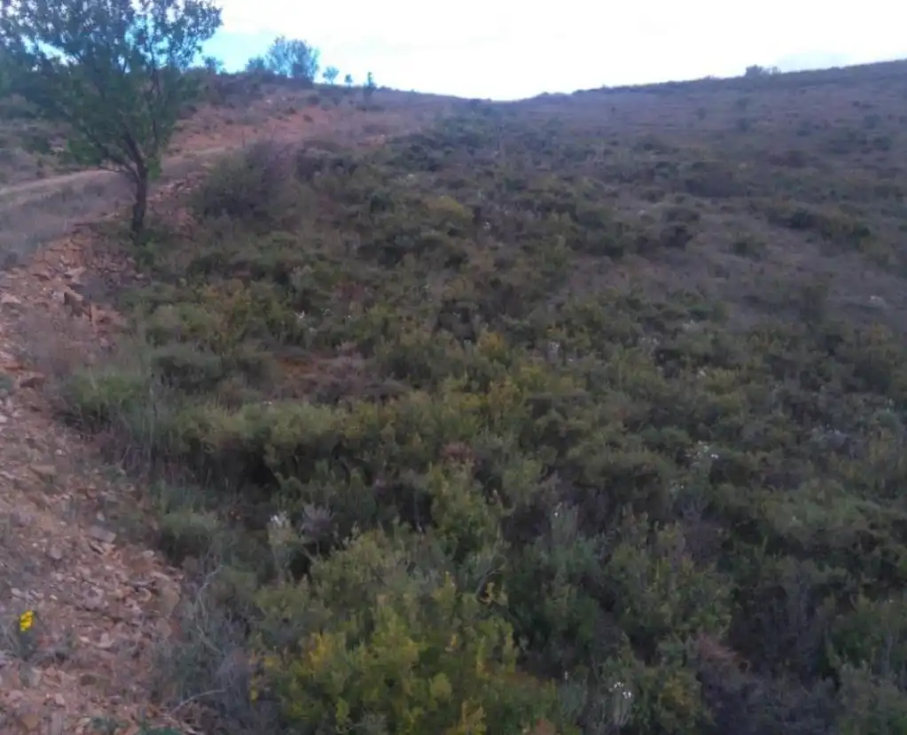 Terreno rustico in vendita a BORBOJON, imagen 9