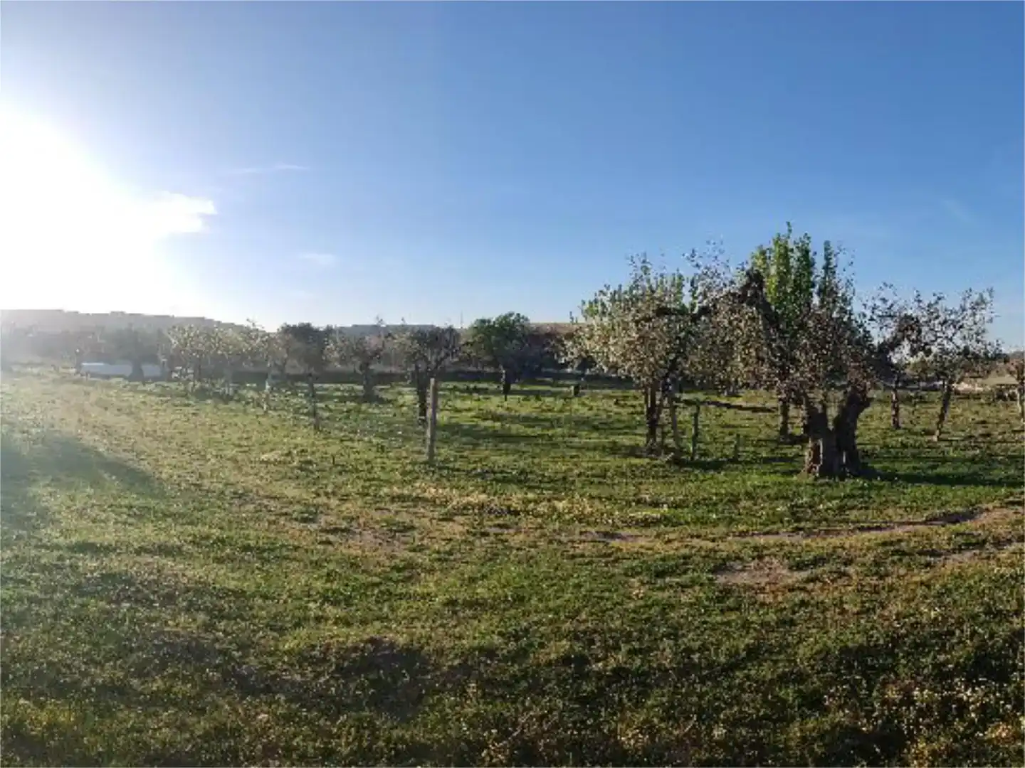 Terreno en venta en Alconera
