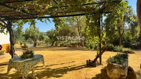 Foto 4 de Finca rústica en venta en Mairena del Alcor, Sevilla