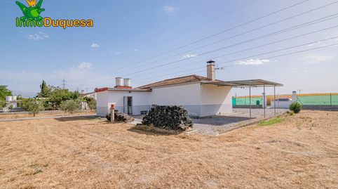 Foto 3 de Finca rústica en venta en Bobadilla, Granada Capital