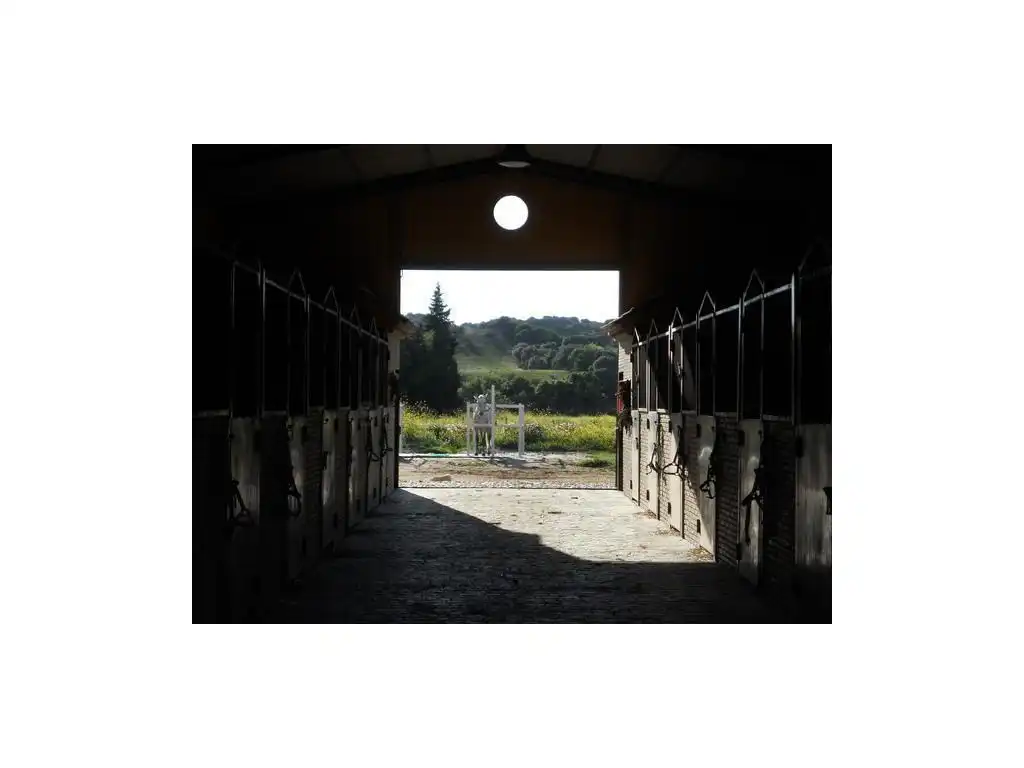 Casa en venta en Alcalá de los Gazules, imagen 14