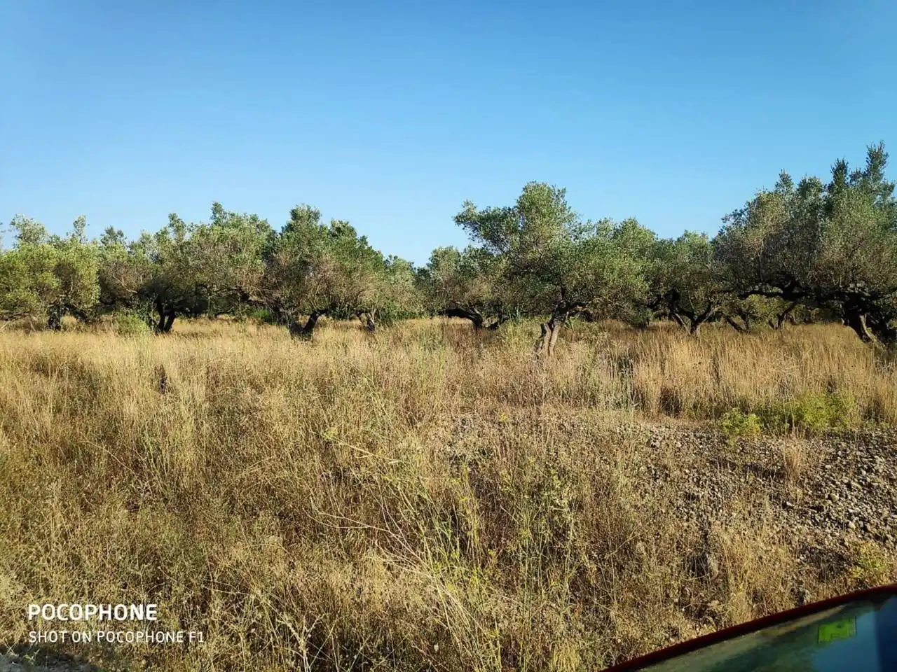 Rural land for sale in Roquetes, imagen 8