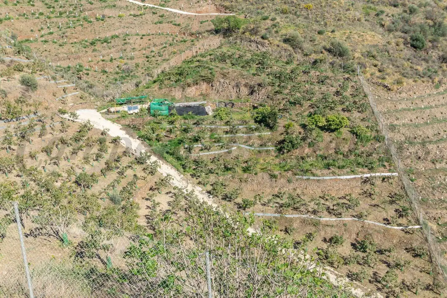 Casa con piscina in vendita a Torrox Pueblo, imagen 12