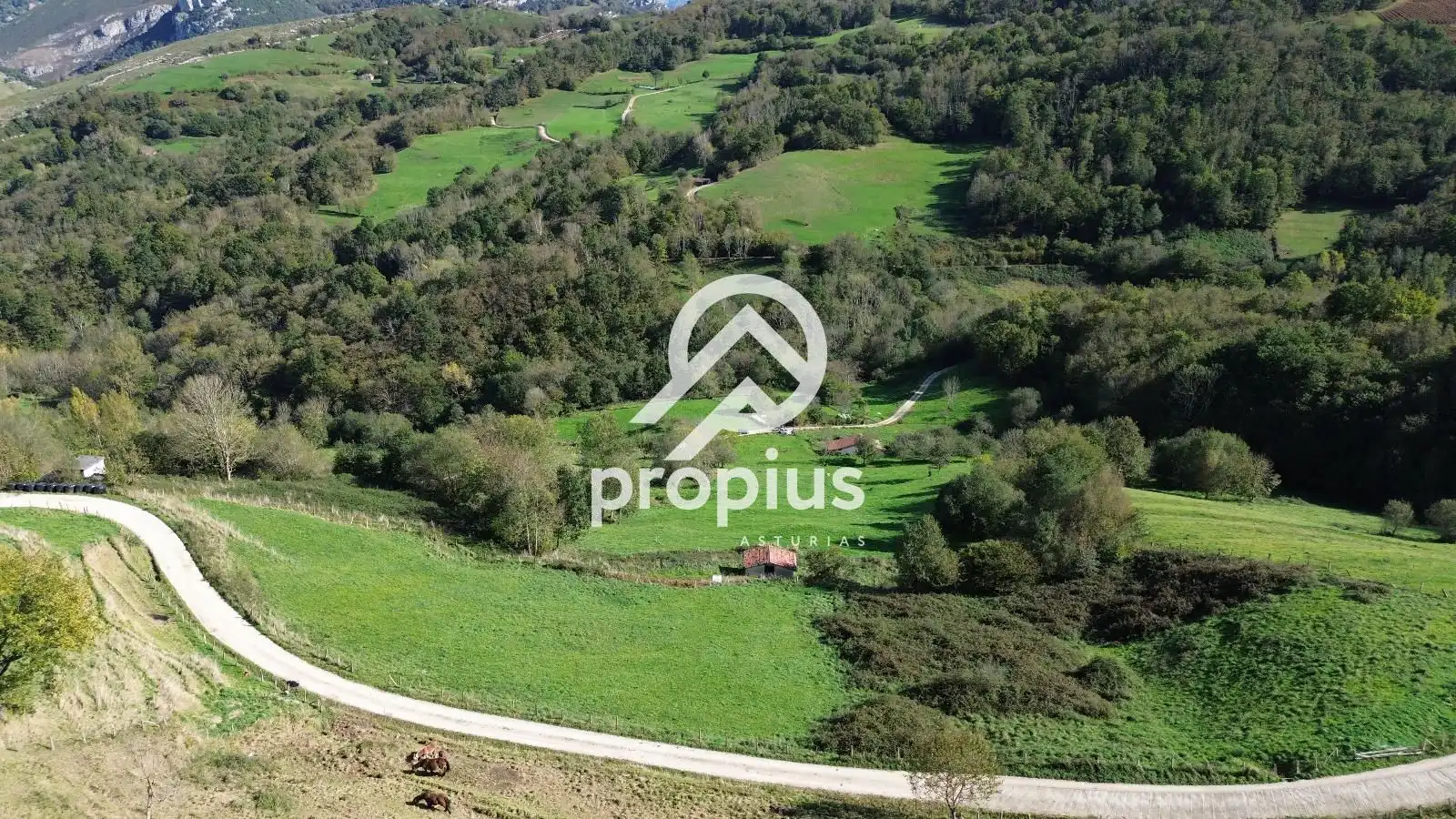 Rural land for sale in Inguanzo, imagen 23