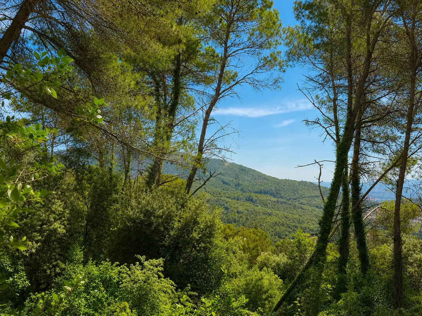 Lands and plots for sale in El Racó - Sant Feliu del Racó, imagen 5