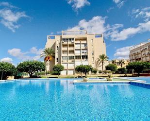 Piscina de Apartament en venda en Torrevieja amb Jardí privat, Terrassa i Balcó