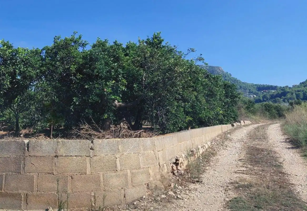 Terreny rústic en venda a Pl. Poligono 11, imagen 3