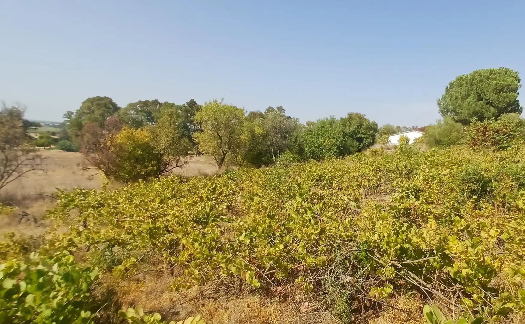 Casa rústica en venda a Los Garciagos, Polígono 119, Parcela 100, imagen 13