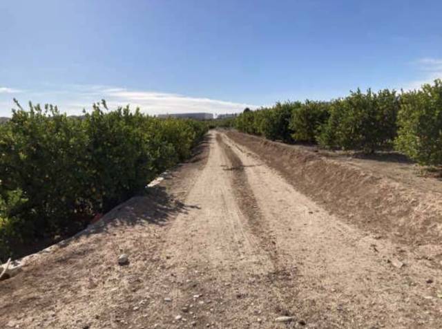 Terreno en Venta en PARCELA              P.I. CABECICOS BLANCOS 06-67 en Librilla