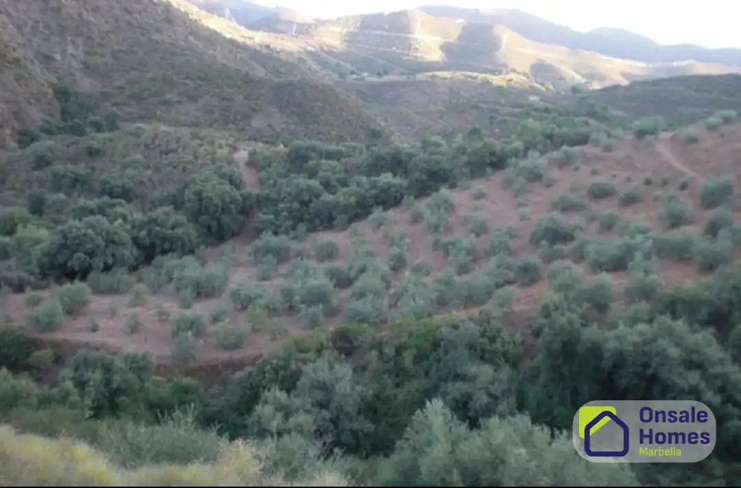 Terreno rustico in vendita a Monda, imagen 9