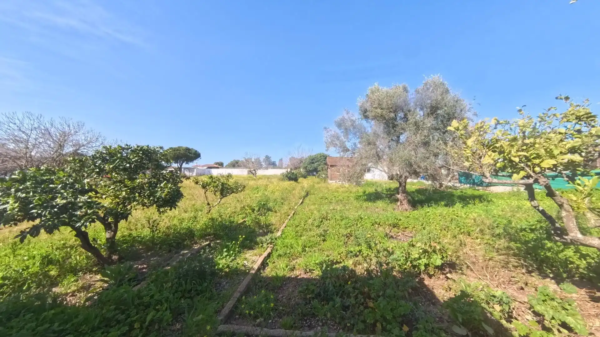 Casa o xalet en venda en Chiclana de la Frontera amb Jardí privat