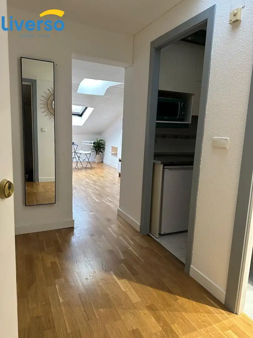 Attic for rent in Casco Antiguo