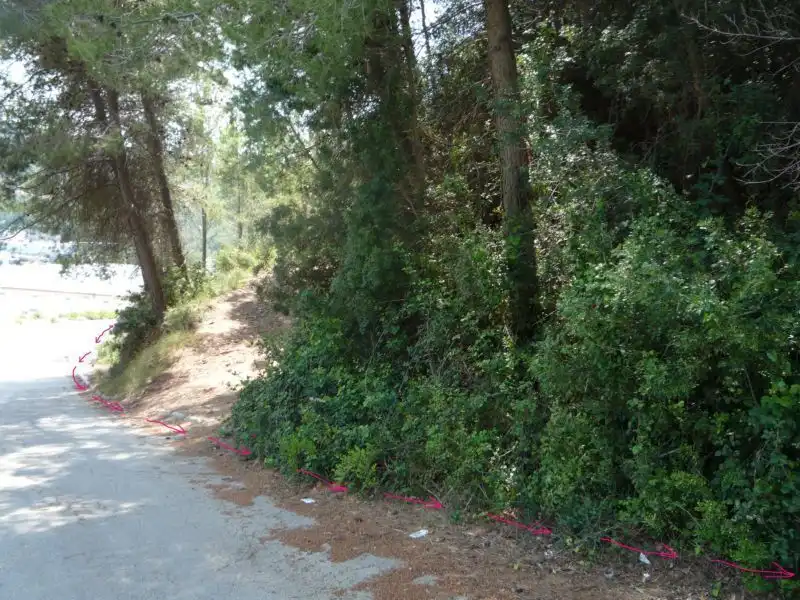 Lands and plots for sale in Vallirana, imagen 9